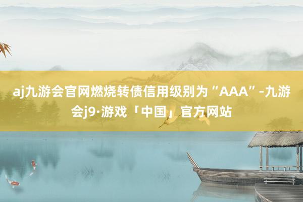 aj九游会官网燃烧转债信用级别为“AAA”-九游会j9·游戏「中国」官方网站